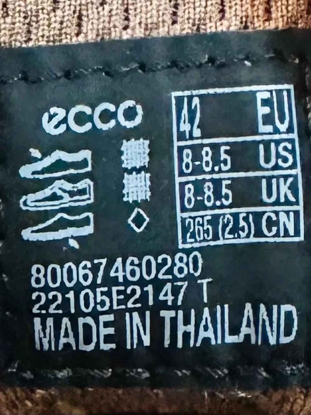 Ecco men’s biom